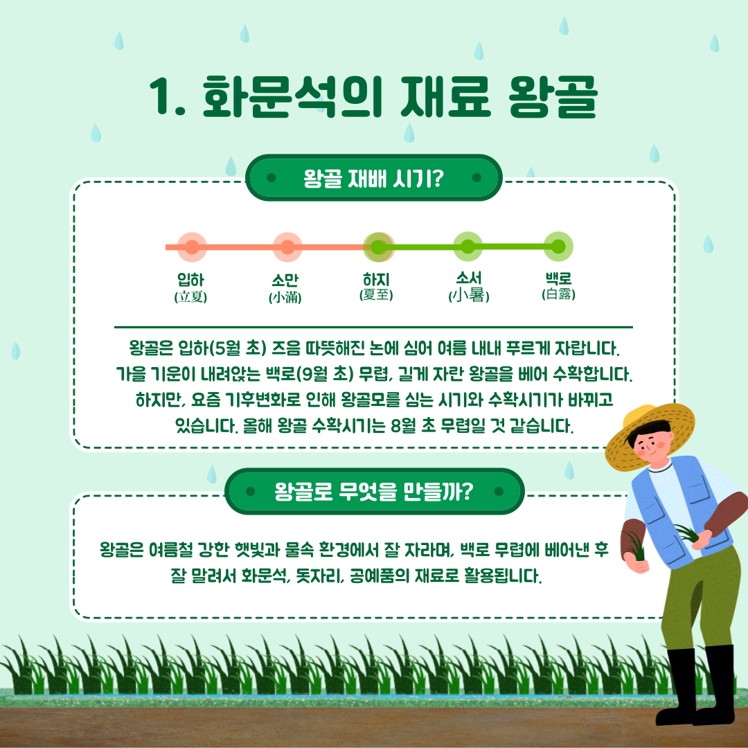 자원봉사 다녀왔어요(왕골심기)