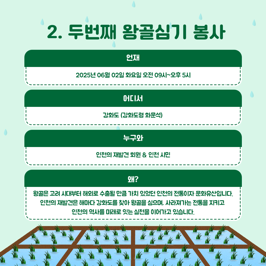 자원봉사 다녀왔어요(왕골심기)