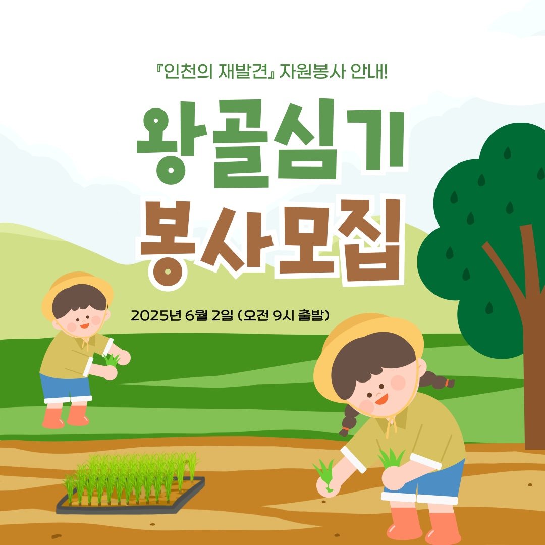 2025년 왕골심기 봉사